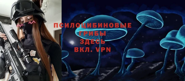 МДМА Арсеньев