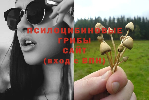 спайс Белоозёрский