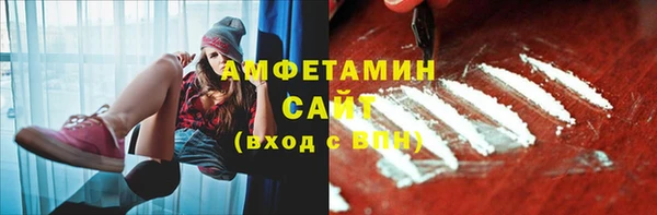 сатива Аркадак