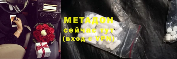 сатива Аркадак