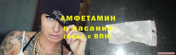 сатива Аркадак