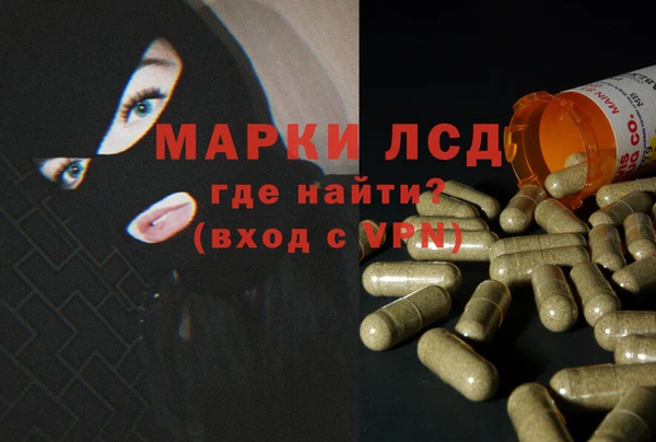 сатива Аркадак